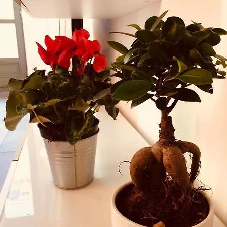 Casa Cristina Apartmán